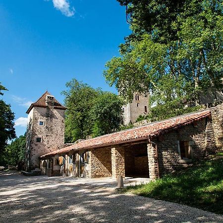 فندق Chateau De Marigna المظهر الخارجي الصورة