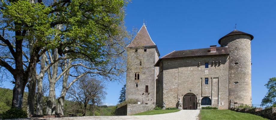 فندق Chateau De Marigna المظهر الخارجي الصورة