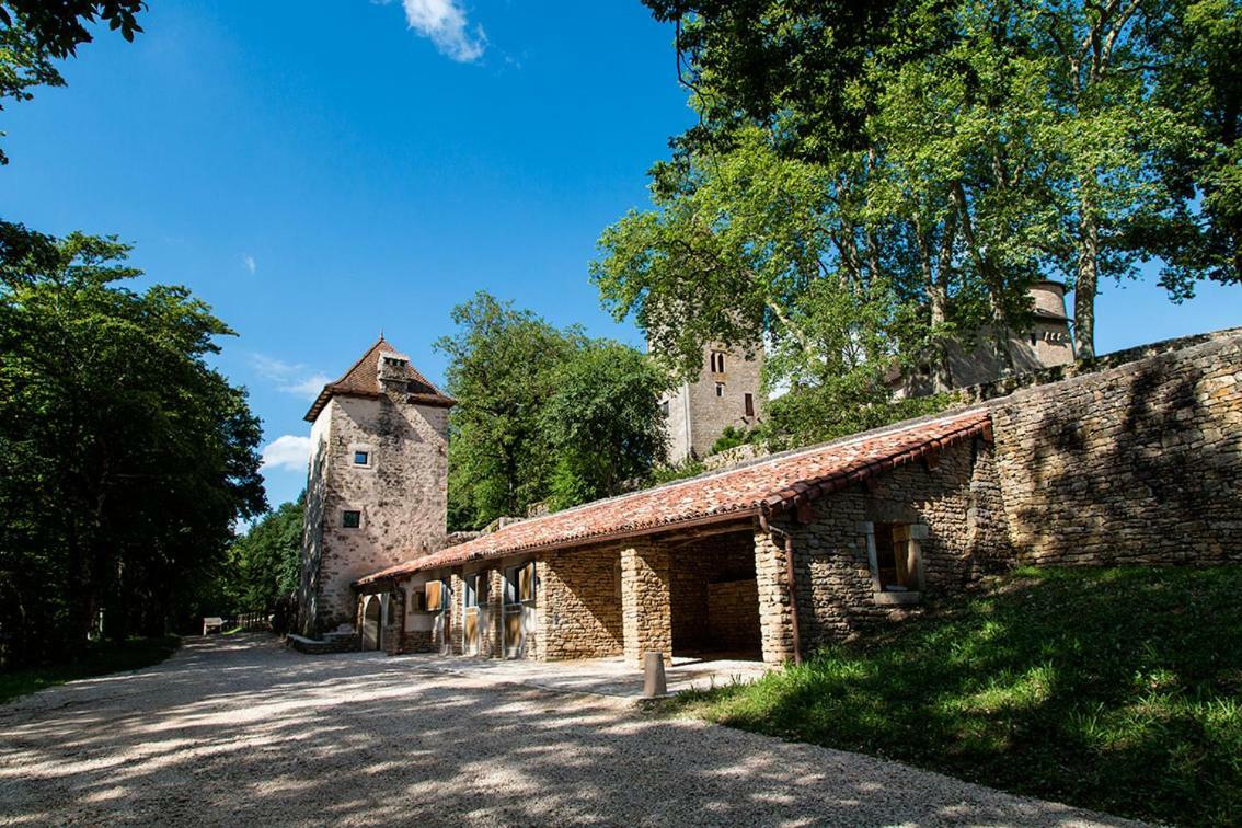 فندق Chateau De Marigna المظهر الخارجي الصورة