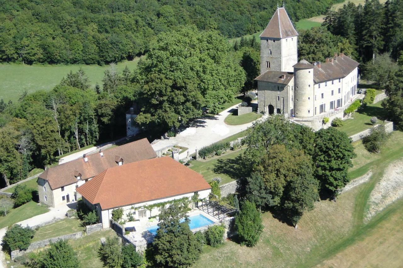 فندق Chateau De Marigna المظهر الخارجي الصورة